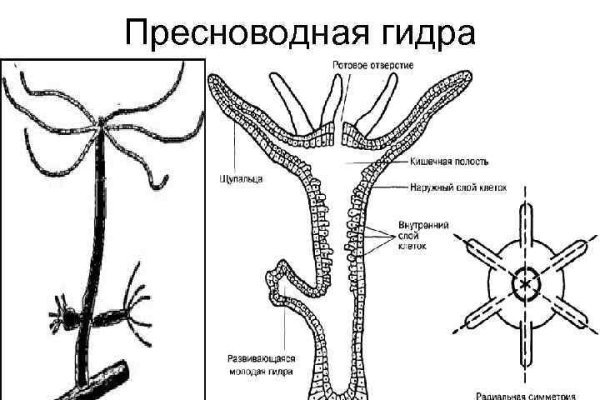 Mega fo зеркало